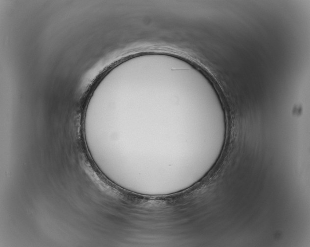 X0000114411503200911061549