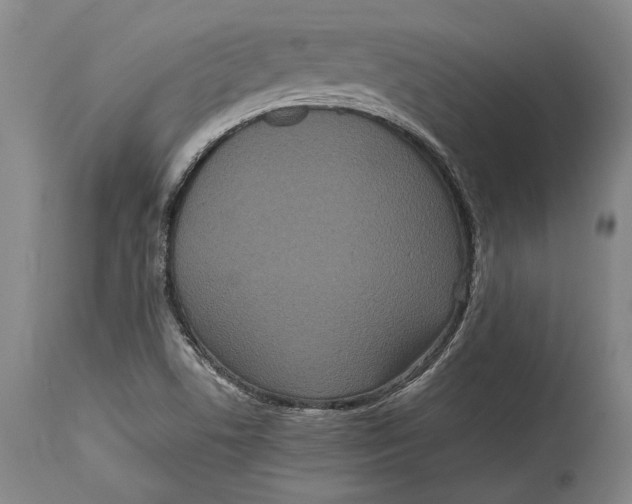 X0000114411506200911061549