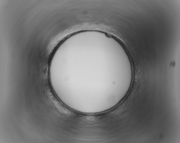 X0000114411507200911061549