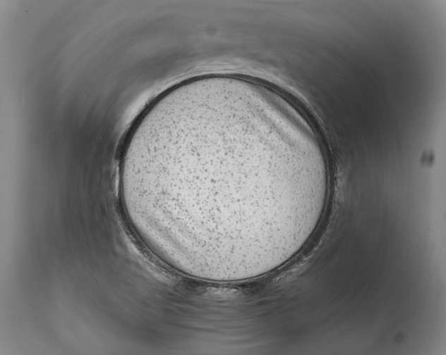 X0000114411509200911061549