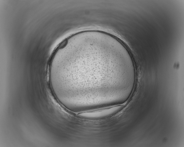 X0000114411510200911061549