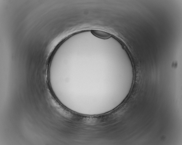 X0000114411511200911061549