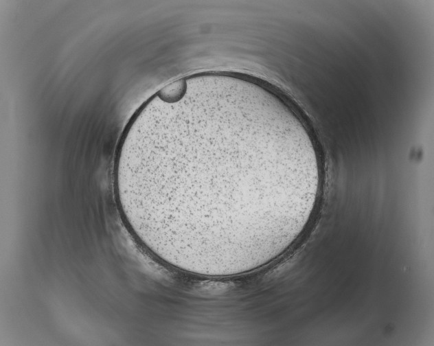 X0000114411513200911061549