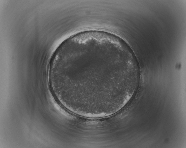 X0000114411515200911061549