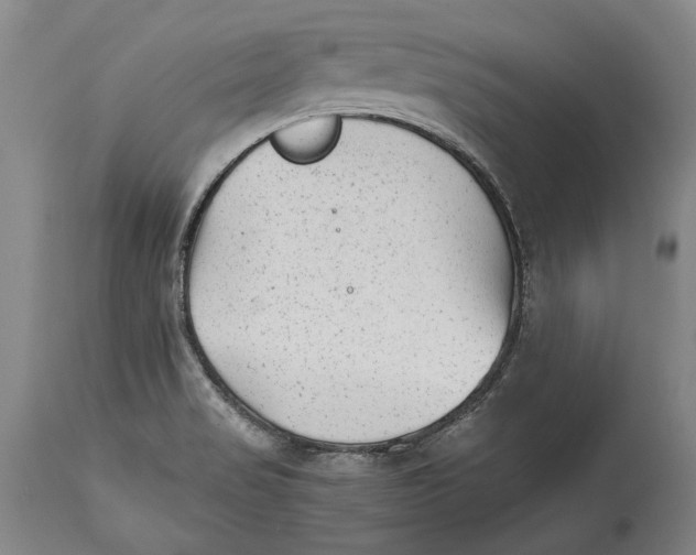X0000114411517200911061549