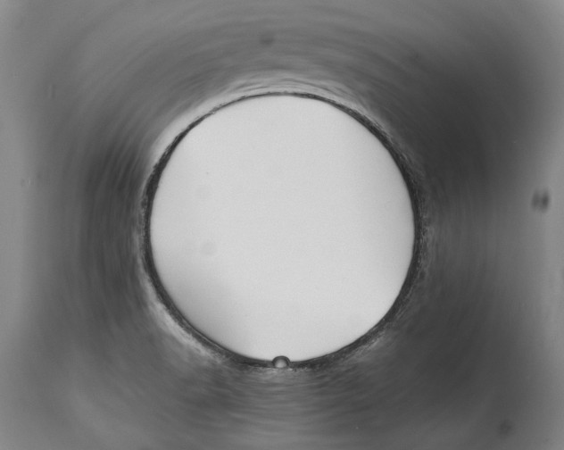 X0000114411518200911061549