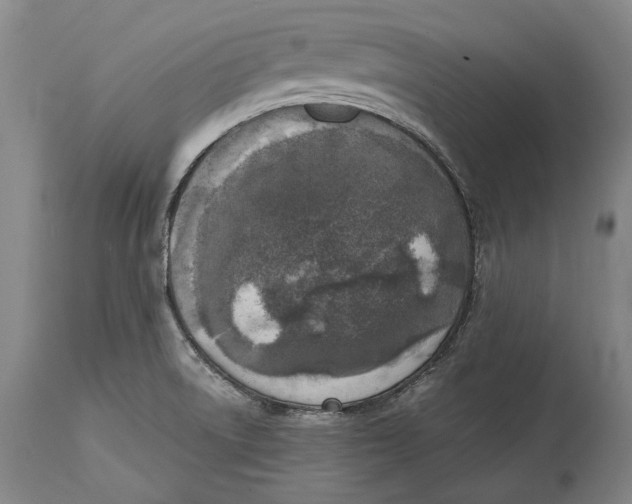 X0000114411522200911061549