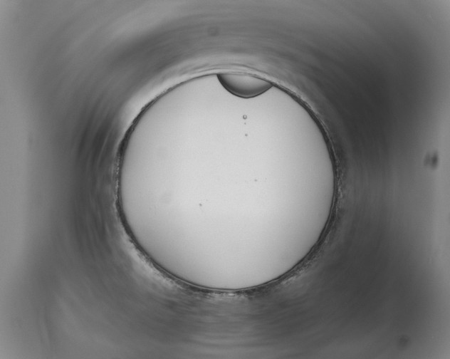 X0000114411526200911061549