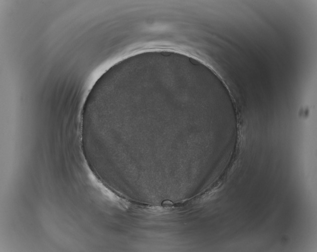 X0000114411527200911061549