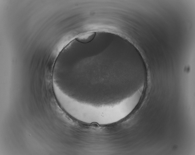 X0000114411529200911061549