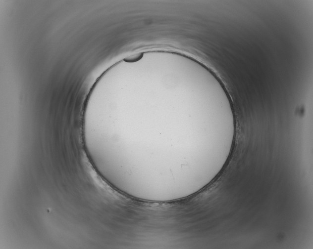 X0000114411534200911061549