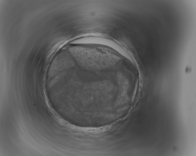 X0000114410001200911131439