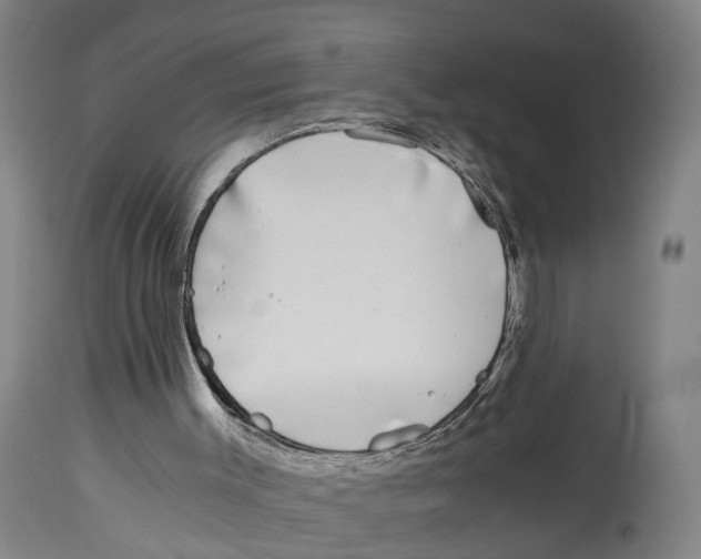 X0000114410003200911131439