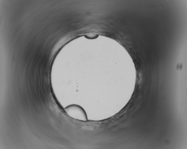 X0000114410004200911131439