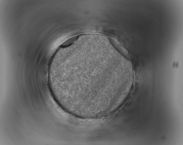 X0000114410005200911131439