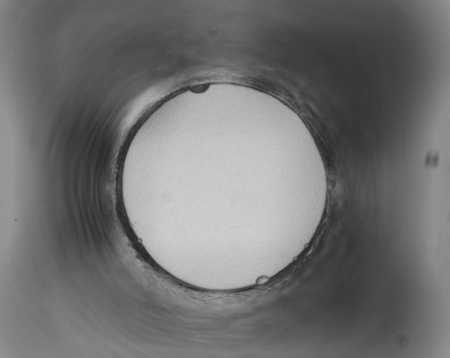 X0000114410006200911131439