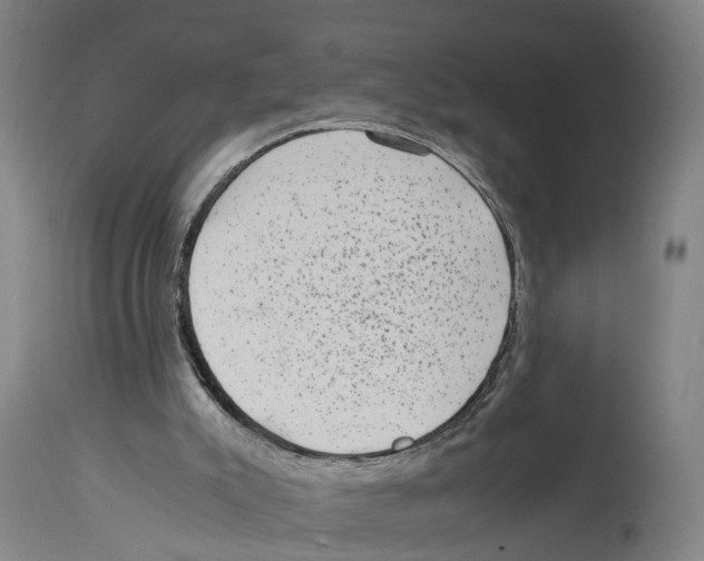 X0000114410007200911131439