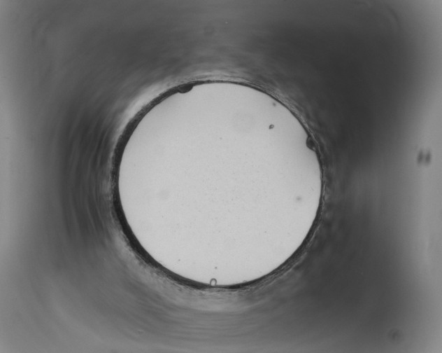 X0000114410008200911131439