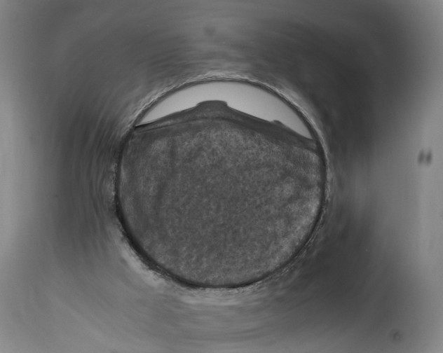 X0000114410009200911131439