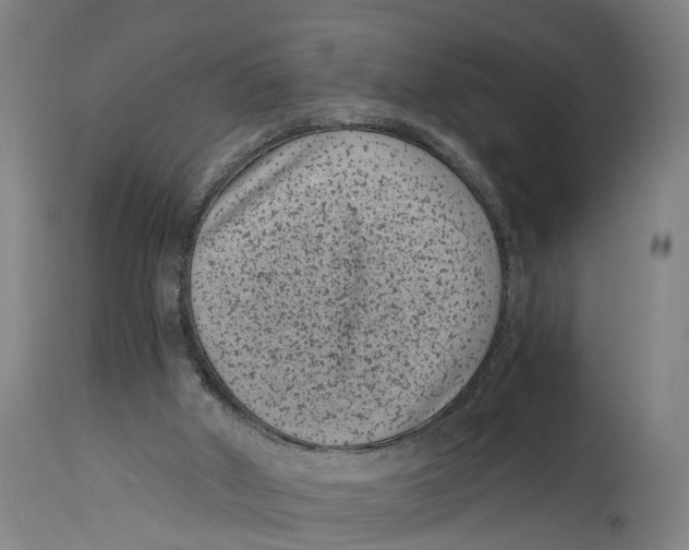 X0000114410010200911131439