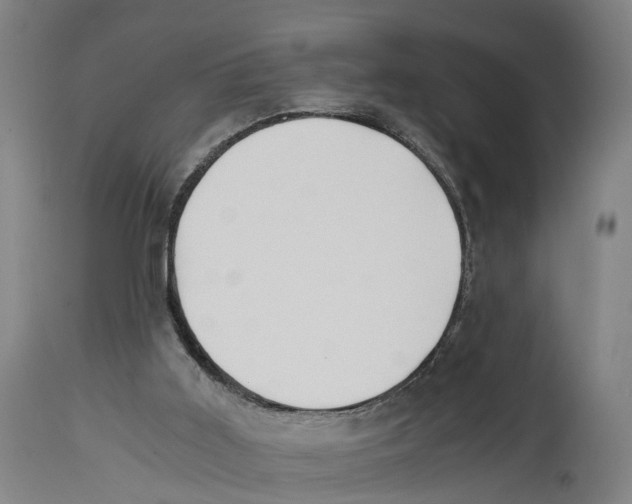 X0000114410011200911131439