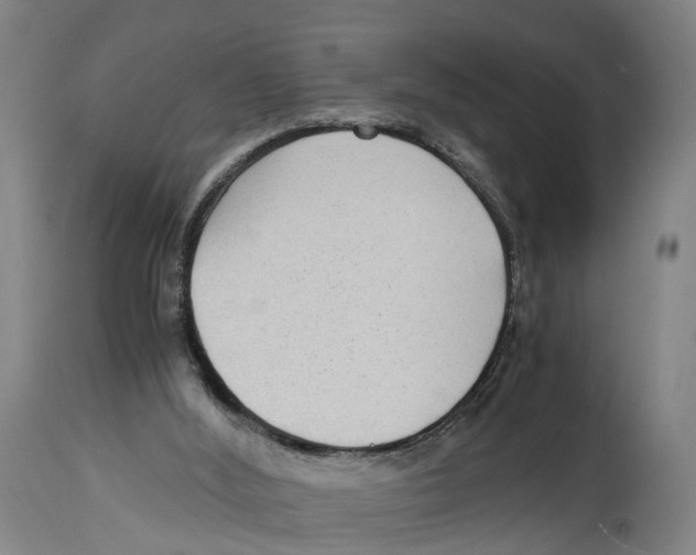 X0000114410012200911131439