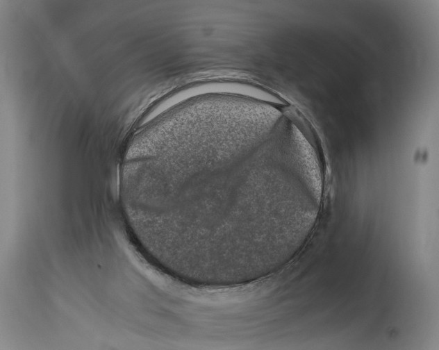 X0000114410013200911131439