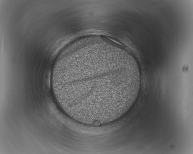 X0000114410014200911131439