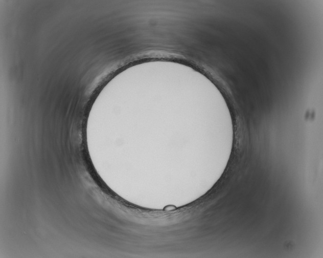 X0000114410015200911131439