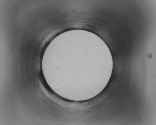 X0000114410016200911131439