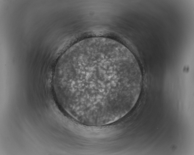 X0000114410018200911131439