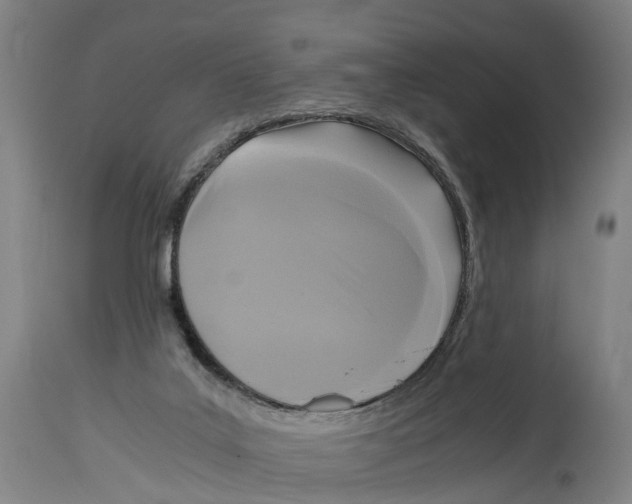 X0000114410019200911131439