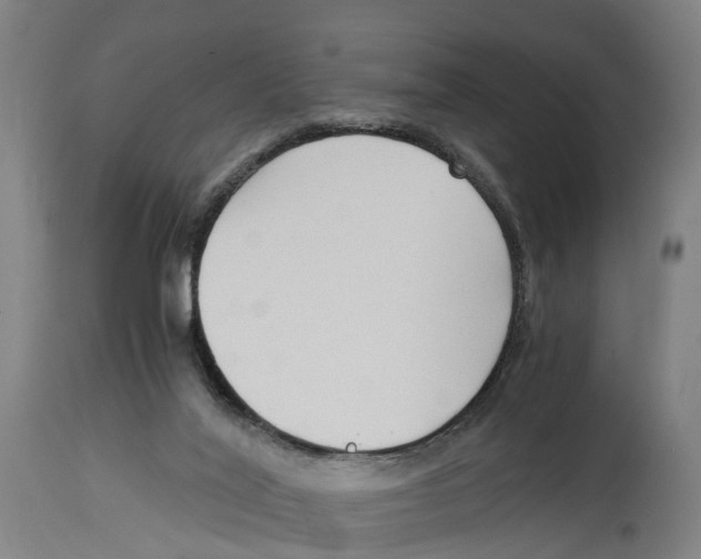 X0000114410020200911131439