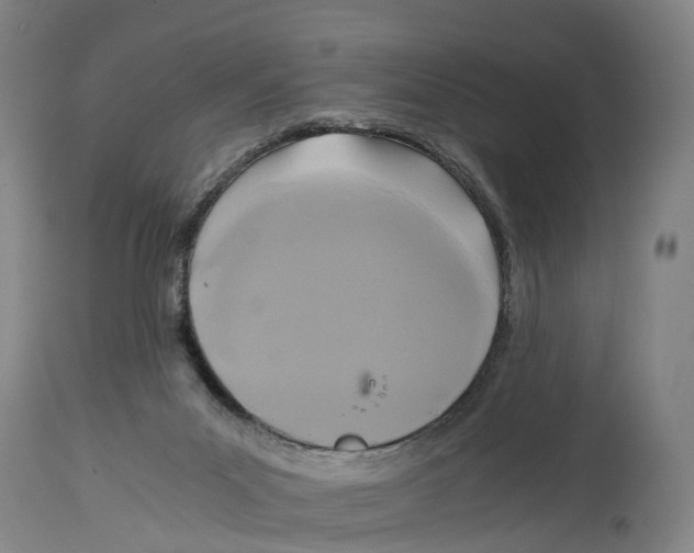 X0000114410023200911131439