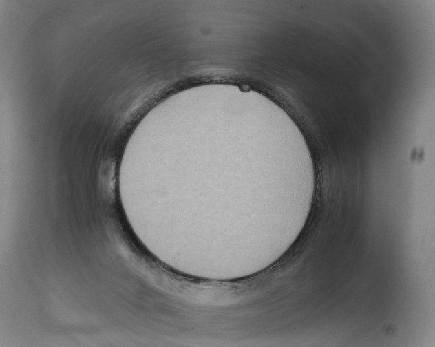 X0000114410024200911131439