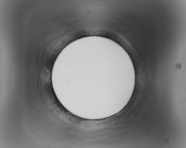 X0000114410025200911131439