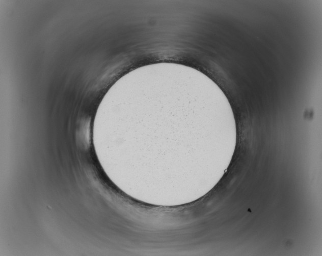 X0000114410028200911131439