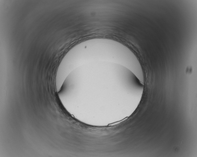 X0000114410029200911131439