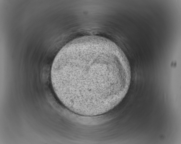 X0000114410030200911131439