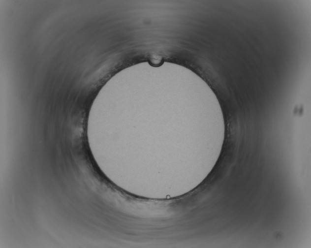 X0000114410032200911131439