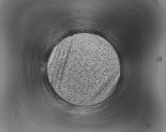 X0000114410033200911131439