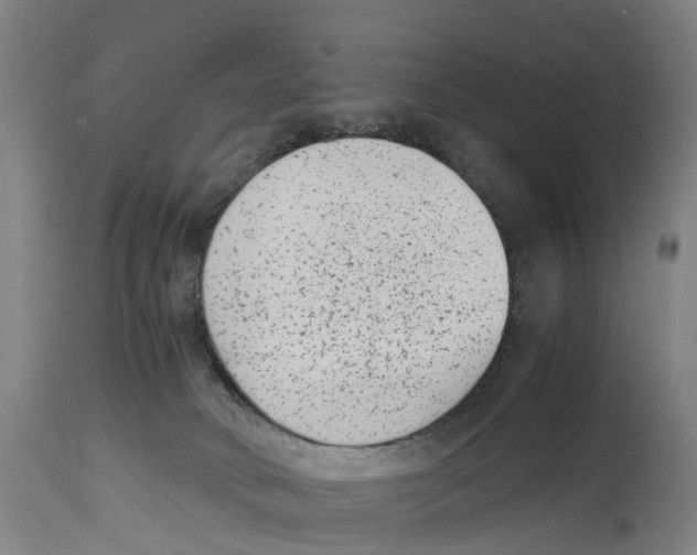 X0000114410034200911131439