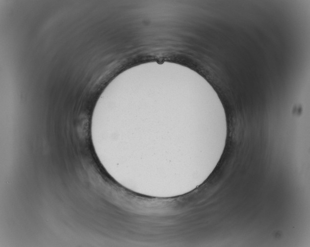 X0000114410036200911131438