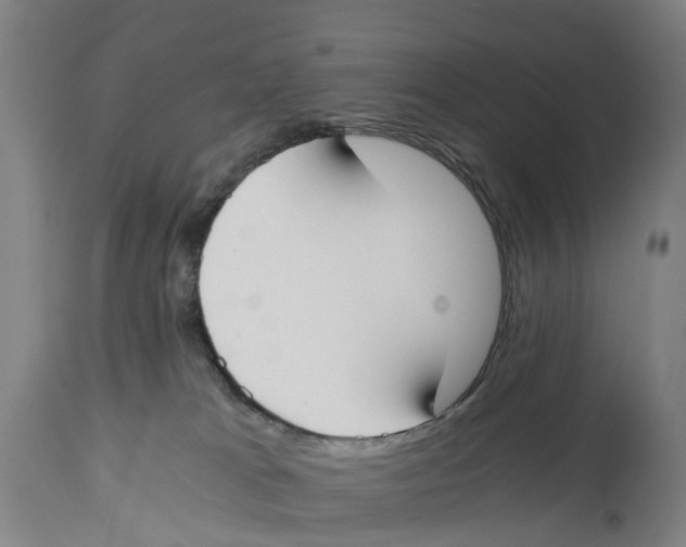 X0000114410037200911131438