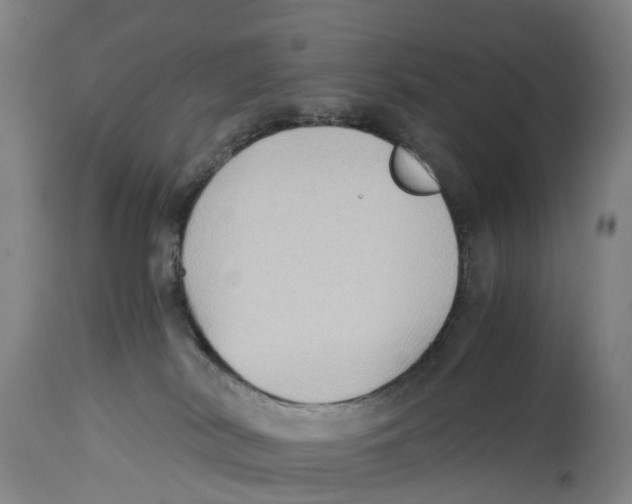 X0000114410038200911131438