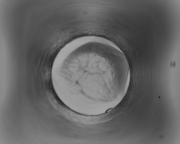 X0000114410039200911131438