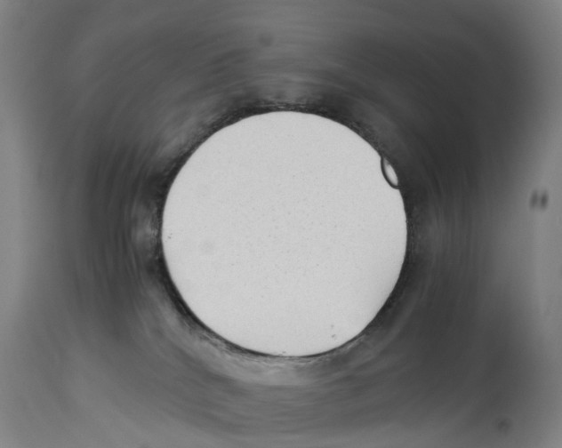 X0000114410040200911131438