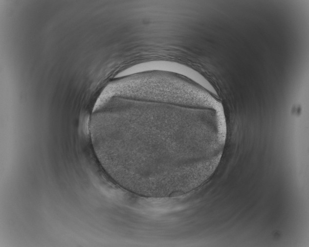 X0000114410041200911131438