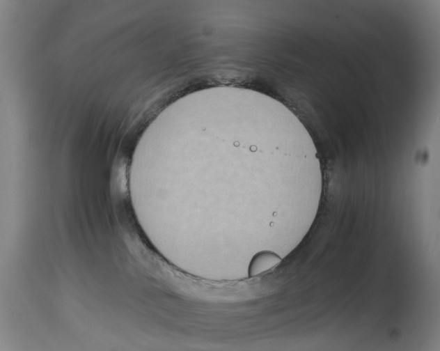 X0000114410042200911131438