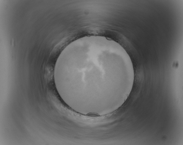 X0000114410043200911131438